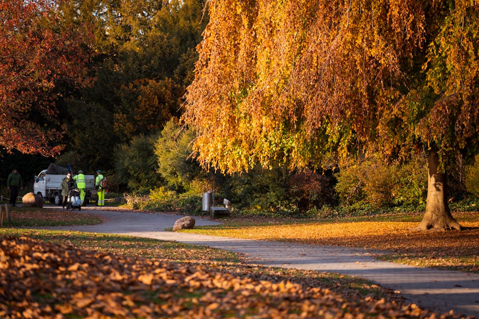 In a park setting during autumn, a small group of workers wearing high-visibility vests and helmets is gathered near a white van parked on a paved pathway. The workers appear to be preparing for or engaged in rubbish removal activities, with some standing and others leaning over objects. The scene is framed by large deciduous trees with vibrant orange and yellow foliage, with fallen leaves scattered across the pathway and surrounding grass. In the background, dense greenery and more trees create a natural backdrop, while a metal trash bin is positioned beside the pathway. Large rocks are visible near the workers, and the overall lighting suggests late afternoon sunlight, casting warm tones across the scene. The image reflects an outdoor waste collection or clearance operation within a natural environment, aligning with professional rubbish removal services such as those provided by Rubbish Clearance Richmond.