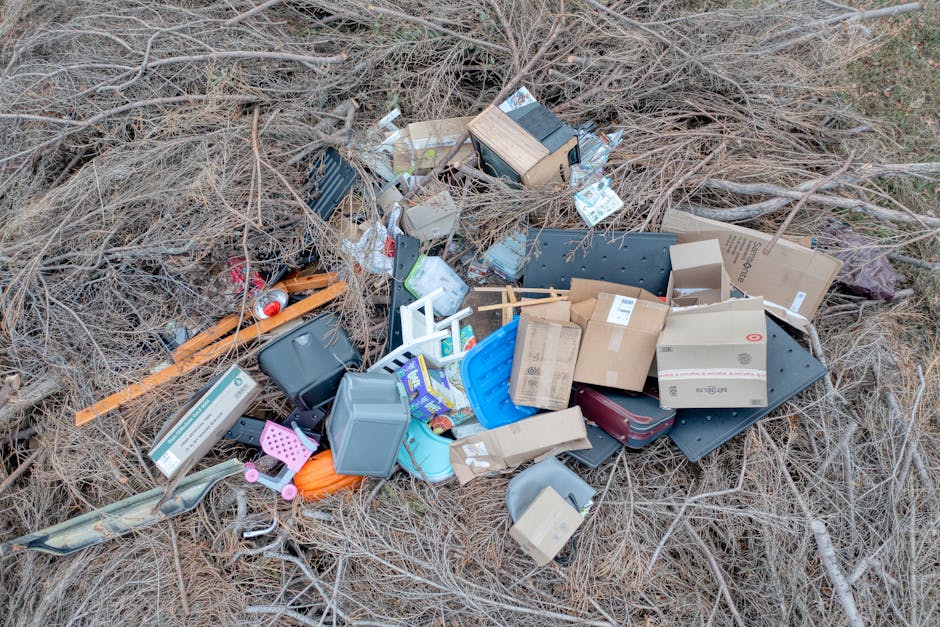 A large pile of mixed waste materials is arranged on the ground among dry, brown grass and leafless twigs in an outdoor environment. The rubbish includes various damaged or discarded household items such as a grey plastic storage container, cardboard boxes, a small wooden cabinet, and a blue plastic tray. Some boxes appear flattened or partially collapsed, while others are intact, with labels visible on some. There are also smaller items like a pink plastic item, a red aluminum can, and pieces of wood and metal scattered throughout the pile. The debris is loosely arranged, with some items leaning or overlapping, and the scene is illuminated by natural daylight. The surrounding area suggests a temporary outdoor site for waste collection, possibly related to private disposal or on-site clearance services, typical of independent rubbish removal efforts that may contrast with local authority clearance. The background consists of more dry grass and scattered branches, indicating an open outdoor setting next to a pathway or field. Rubbish Clearance Richmond specialises in managing such waste, helping to remove clutter and debris efficiently while supporting private disposal needs.